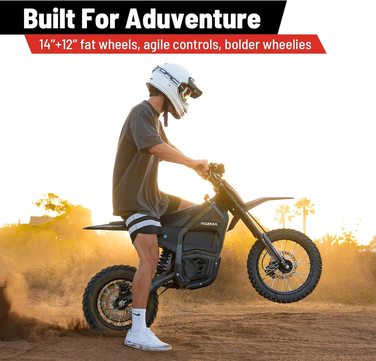 IN10 Electric Dirt Bike, 2600W 40MPH Electric-Motorcycle with 48V/23AH Battery Ebike, Full Hydraulic Brakes and Suspensions Mountain Off-Road E Dirt Bike, for Teens & Adults (Shadow Black)