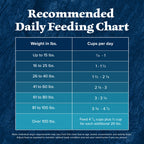 Wilderness Natural High-Protein Adult Dog Dry Food, Salmon Recipe, 24 Lb.