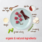 Natural Essentials Beef Sticks Dog Treats, 22Oz