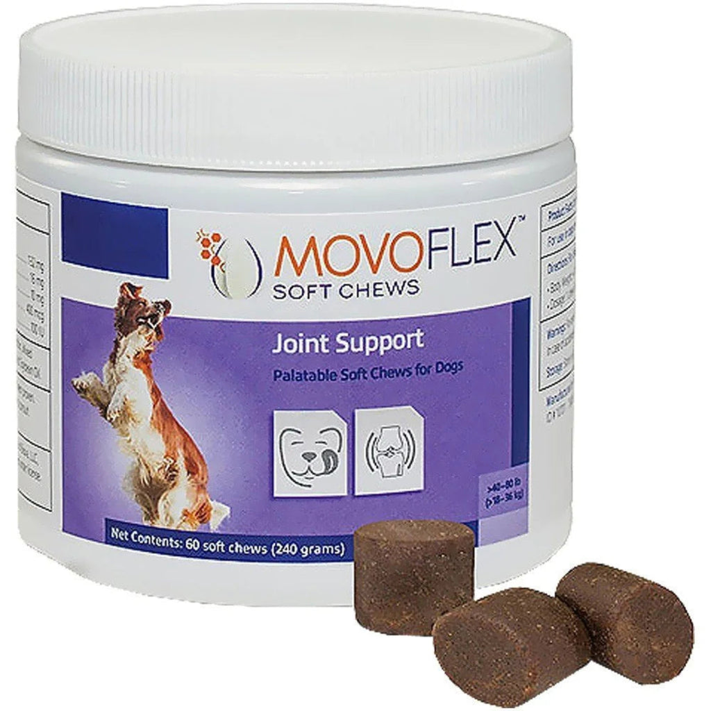 Joint Support Supplement Soft Chews for Dogs, 60 Chews