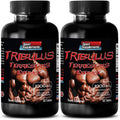 Pills for Men Sex Long and Strong - TRIBULUS TERRESTRIS EXTRACT 1000MG - MUSCLE STRENGTH, Male Fertility Booster, Male Libido Pills, Male Sex Pills, Male Enhancement, Stamina Booster, 2B 120 Tablets
