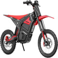 IN10 Electric Dirt Bike, 2600W 40MPH Electric Bike with 1104WH Battery Ebike, Full Hydraulic Brakes and Suspensions Mountain Off-Road E Dirt Bike, for Teens & Adults, Black