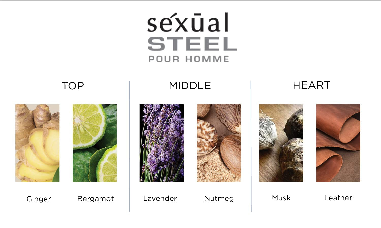 Sexual Steel Pour Homme Eau De Toilette Spray Men'S Cologne, Top Notes of Ginger, Bergamot, Rhubarb Leaves, Charismatic & Intense Gift for Him, 2.5 Fl Oz