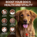 (2 Pack) Mushroom for Dogs 340 Chews Turkey Tail Mushroom Supplement for Dogs Lions Mane Reishi Immunity Support Multivitamin Vitamins Joint Health Energy Gut Skin Made in USA