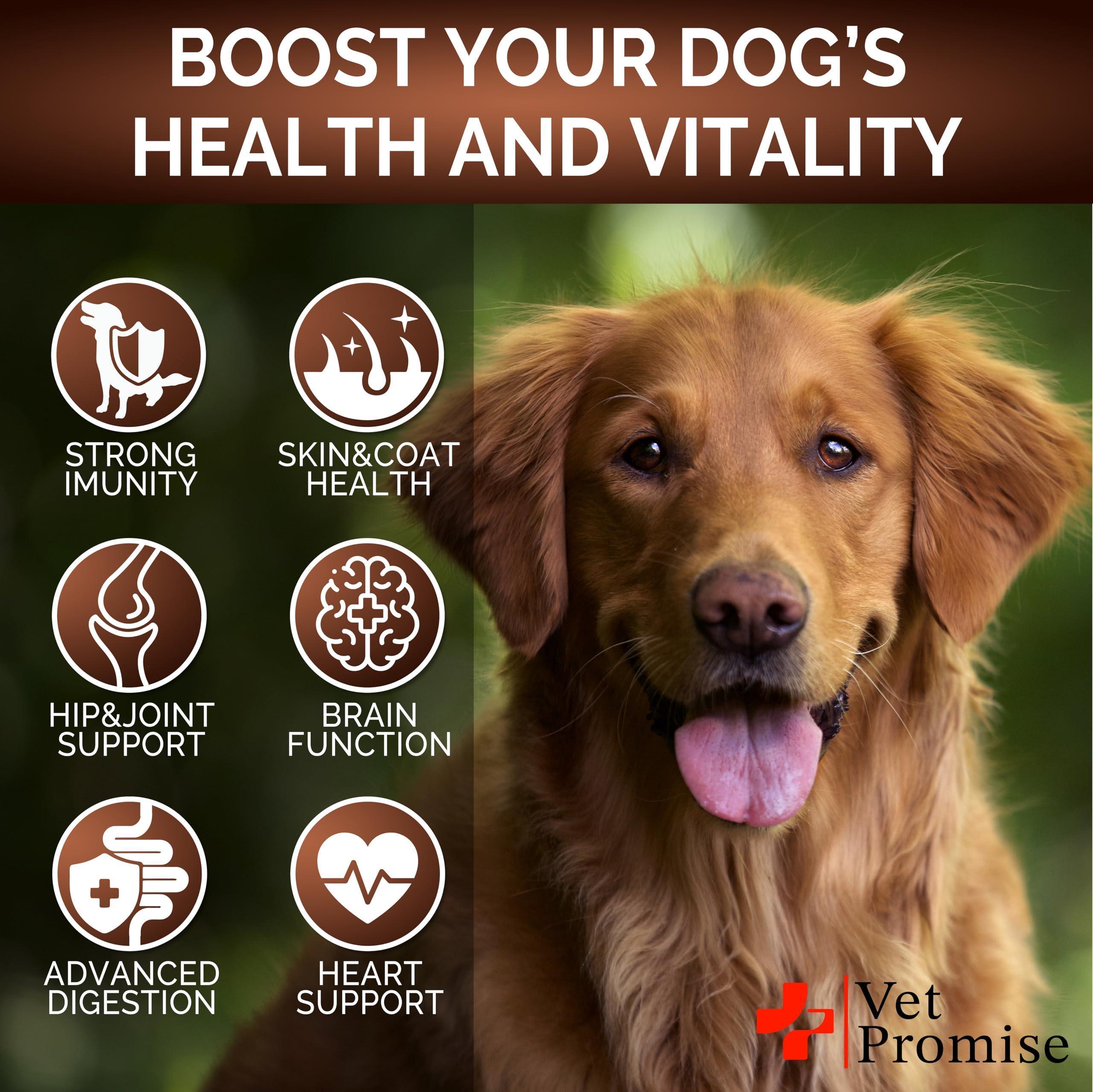 (2 Pack) Mushroom for Dogs 340 Chews Turkey Tail Mushroom Supplement for Dogs Lions Mane Reishi Immunity Support Multivitamin Vitamins Joint Health Energy Gut Skin Made in USA