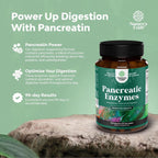 Pancreatin Digestive Enzymes Supplement for Gut and Digestive Health, 120 Capsules