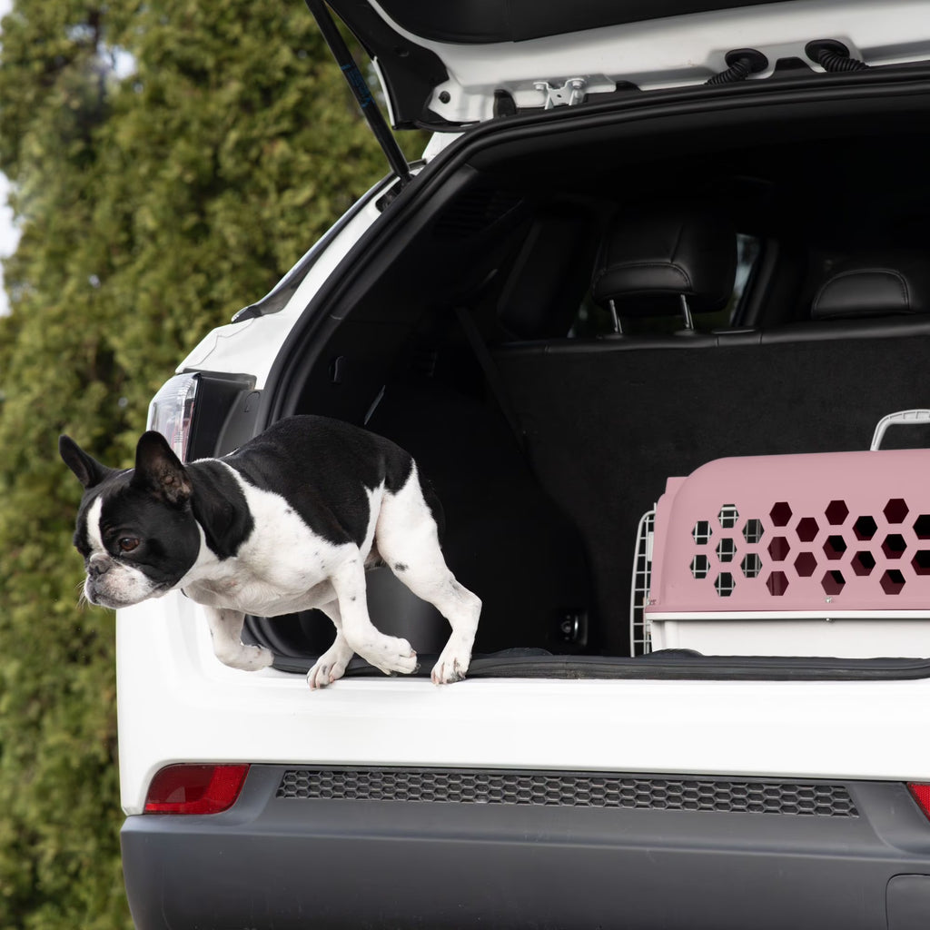 26" Plastic Portable Kennel for Dogs, Pink