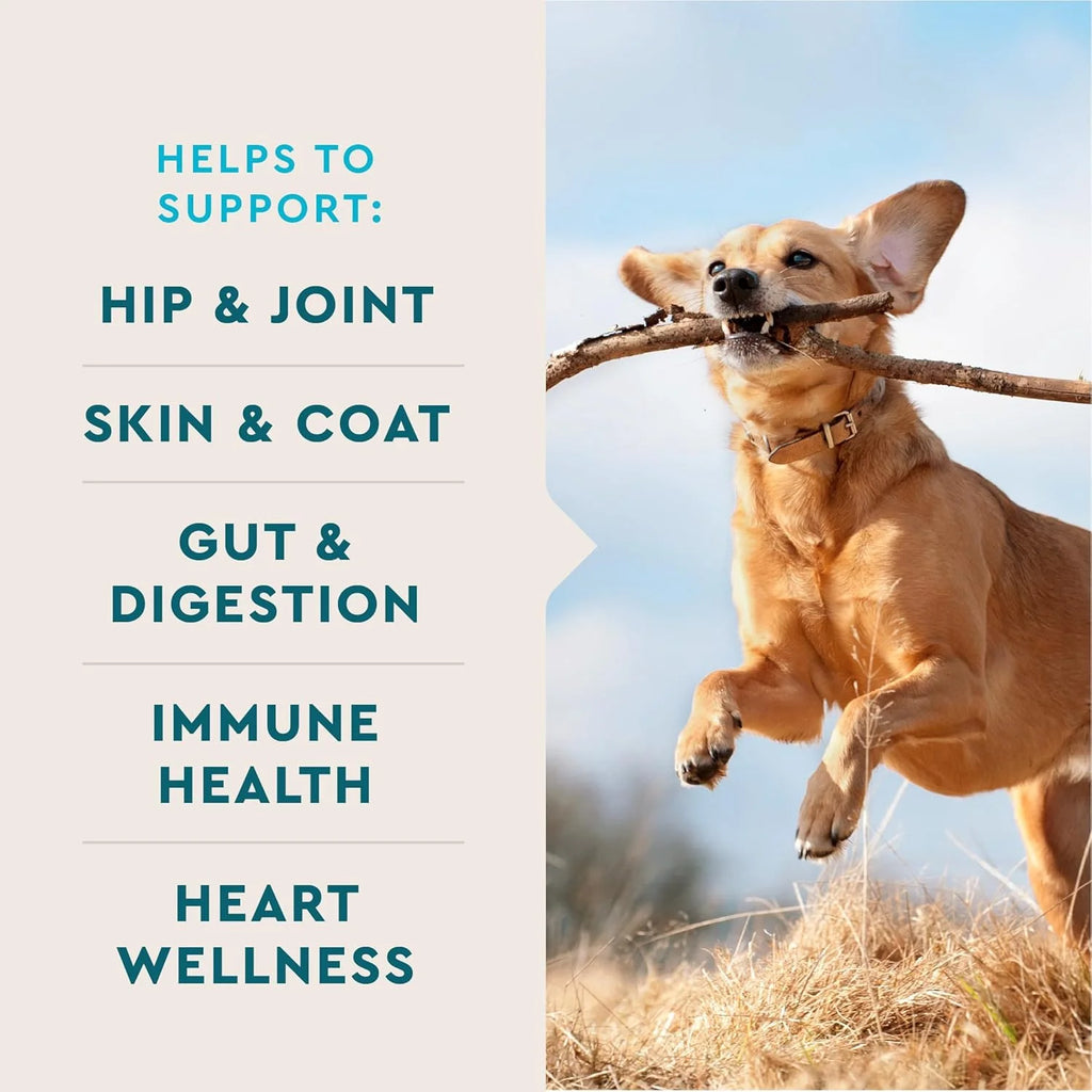 Vetiq 8-In-One Multifunctional Supplements for Dogs, Supports Hip & Joint, Urinary Tract, Immune System, Skin Health and Heart Health, Soft Chews, 60 Count