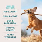 Vetiq 8-In-One Multifunctional Supplements for Dogs, Supports Hip & Joint, Urinary Tract, Immune System, Skin Health and Heart Health, Soft Chews, 60 Count