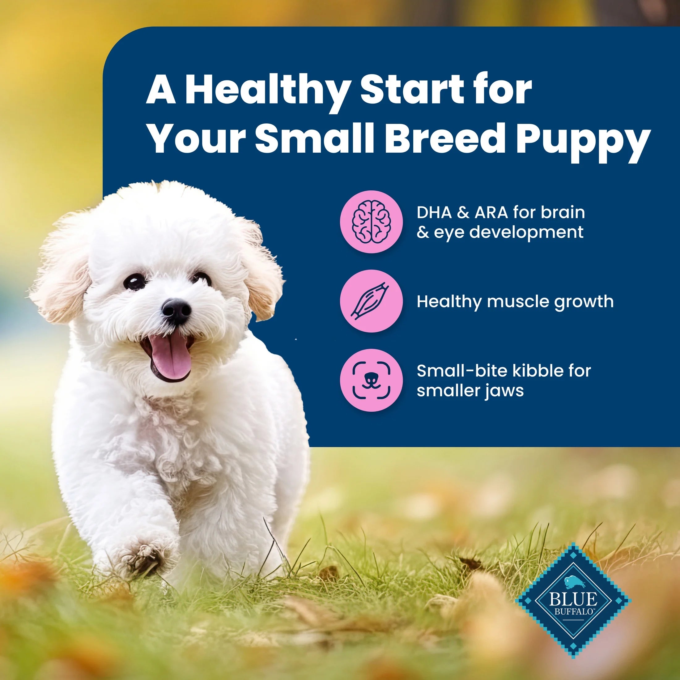 Life Protection Formula Small Breed Dry Puppy Food, Chicken & Oatmeal, 5 Lbs.