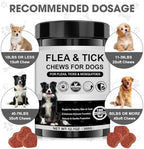 Dog Flea and Tick Chewable Supplement – Natural Support for Skin & Coat Health, Seasonal Comfort & Itch Relief – 180 Soft Chews with Chicken Flavor for Dogs & Puppies (180Pcs)
