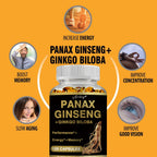 Panax Ginseng + Ginkgo Biloba - Improves Memory and Mental Performance,Immune Support, Maintain Overall Health