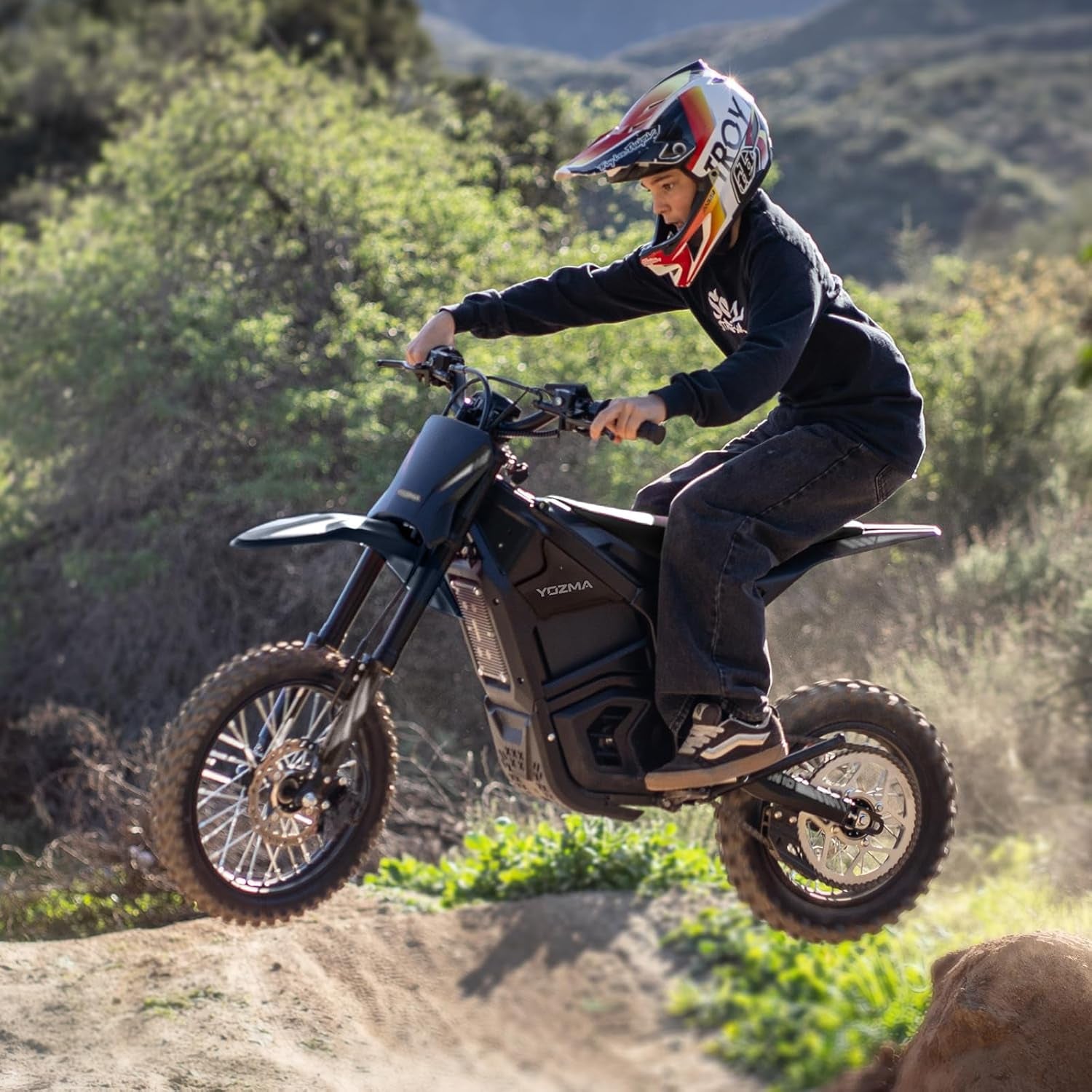 IN10 Electric Dirt Bike, 2600W 40MPH Electric-Motorcycle with 48V/23AH Battery Ebike, Full Hydraulic Brakes and Suspensions Mountain Off-Road E Dirt Bike, for Teens & Adults (Shadow Black)