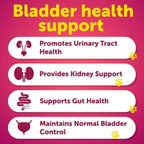 Dog UTI Treatment 240 Chews 2-Pack Cranberry Bladder & Kidney Support