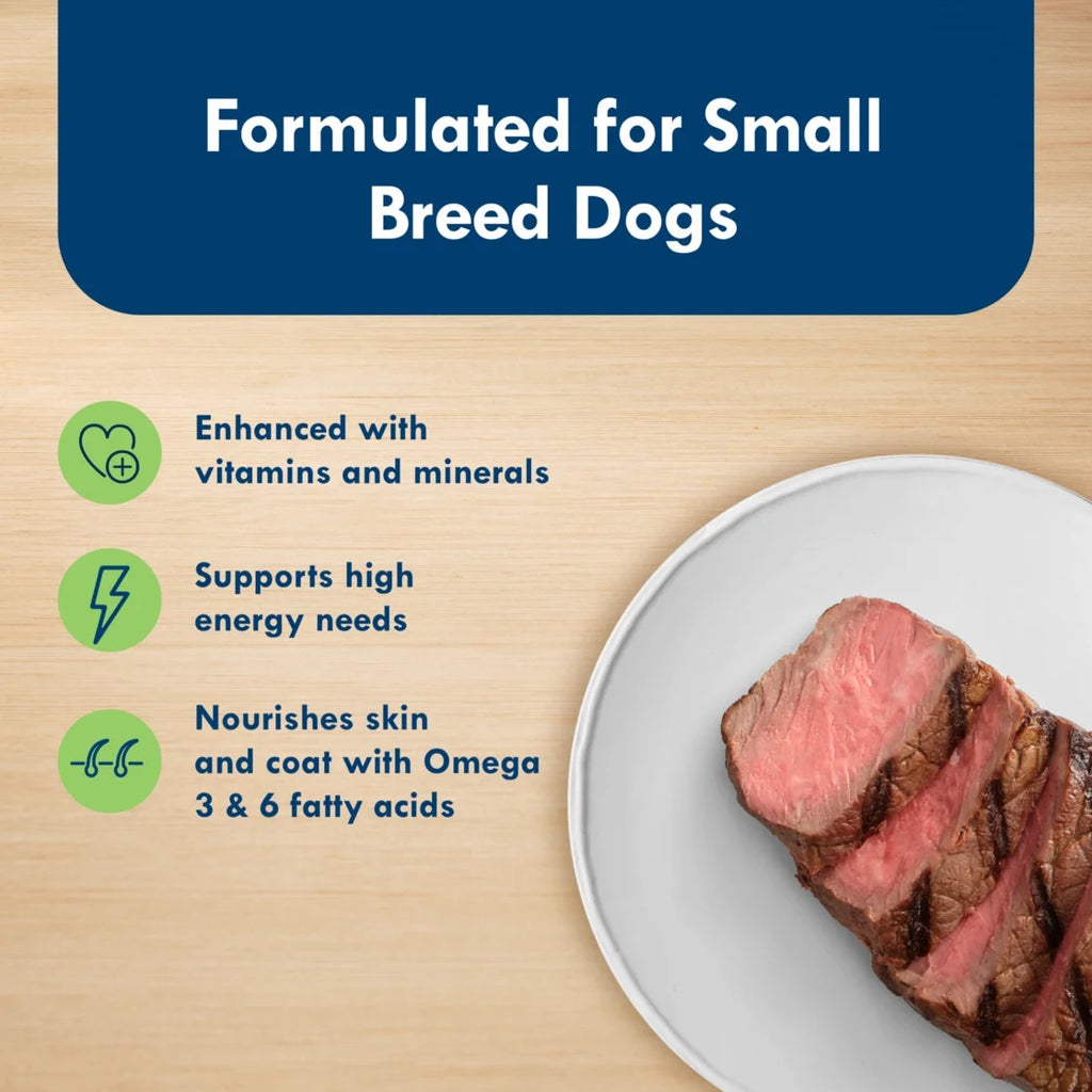 Delights Adult Small Breed Filet Mignon & New York Strip Wet Dog Food Variety 12 Pack, 3.5 Oz Cup