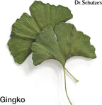 Dr.Schulze'S Brain Herbal Supplements with Ginkgo Biloba for Memory and Focus, Vegan,Stimulates Circulation 2 Oz.