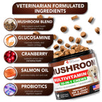 (2 Pack) Mushroom for Dogs 340 Chews Turkey Tail Mushroom Supplement for Dogs Lions Mane Reishi Immunity Support Multivitamin Vitamins Joint Health Energy Gut Skin Made in USA