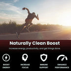 Panax Ginseng + Ginkgo Biloba - Improves Memory and Mental Performance,Immune Support, Maintain Overall Health