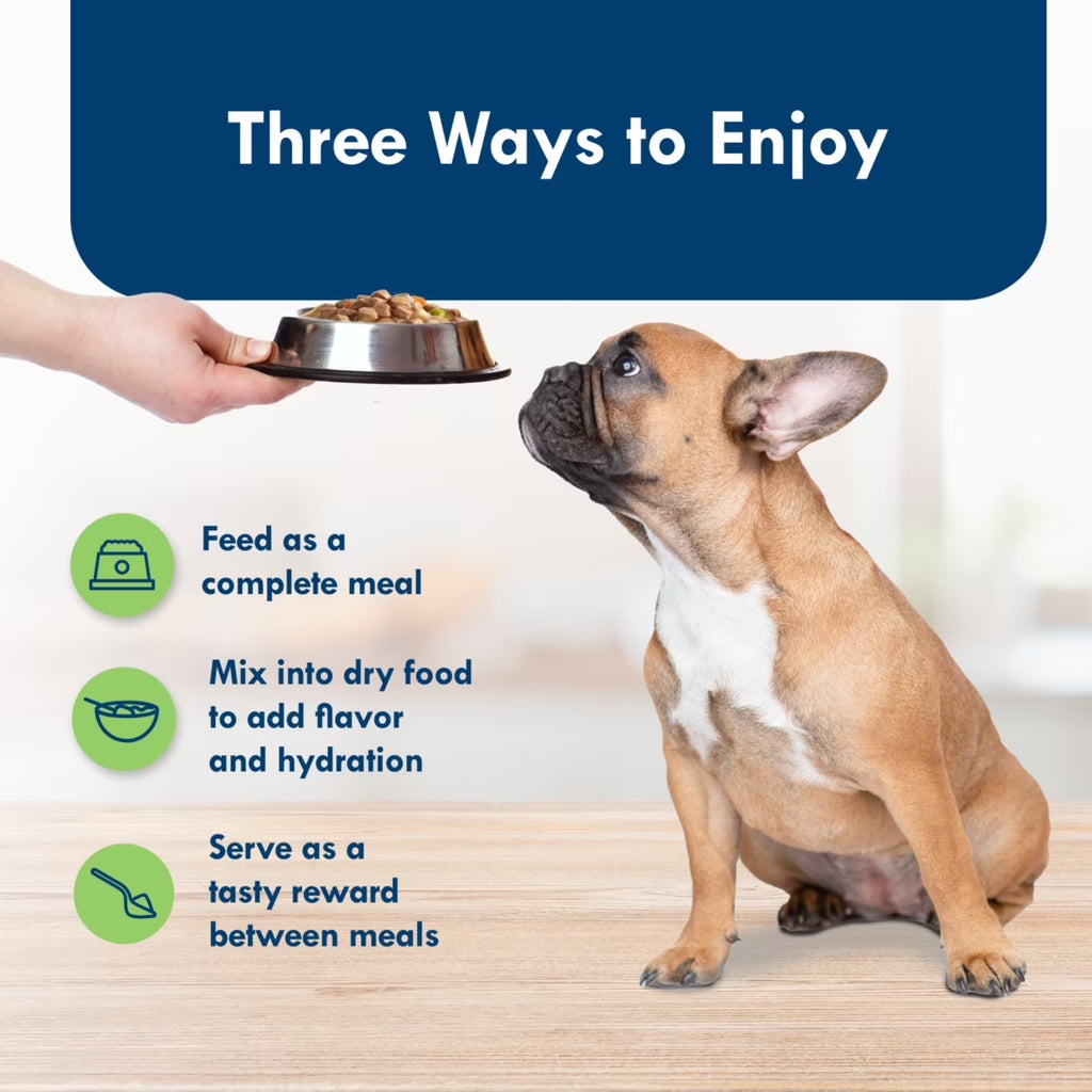 (3 Pack)  Delights Adult Small Breed Filet Mignon & New York Strip Wet Dog Food Variety 12 Pack, 3.5 Oz Cup