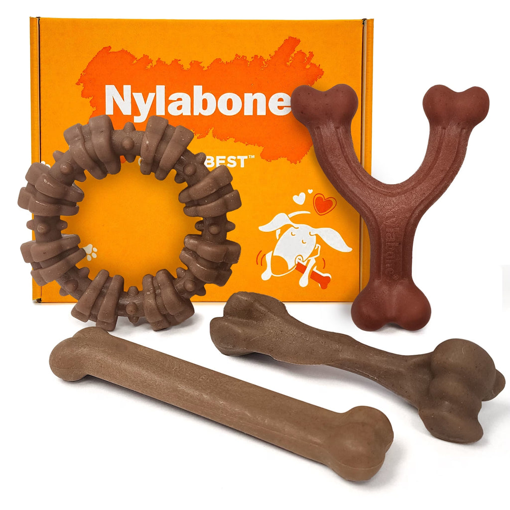 Strong Chew Dog Toys, Dog Chew Toys, Made with Real Bacon, Beef, & Chicken, Large, 4 Pack