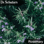 Dr.Schulze'S Brain Herbal Supplements with Ginkgo Biloba for Memory and Focus, Vegan,Stimulates Circulation 2 Oz.