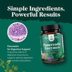 Pancreatin Digestive Enzymes Supplement for Gut and Digestive Health, 120 Capsules